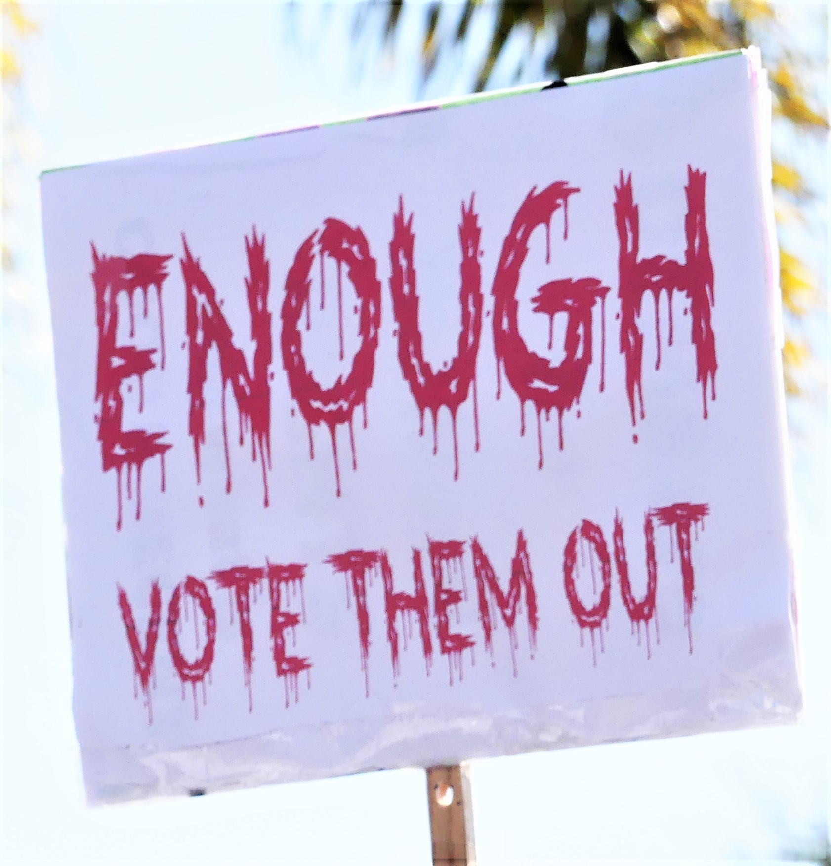 P2230259 (2) blood enough Holly on the Lake